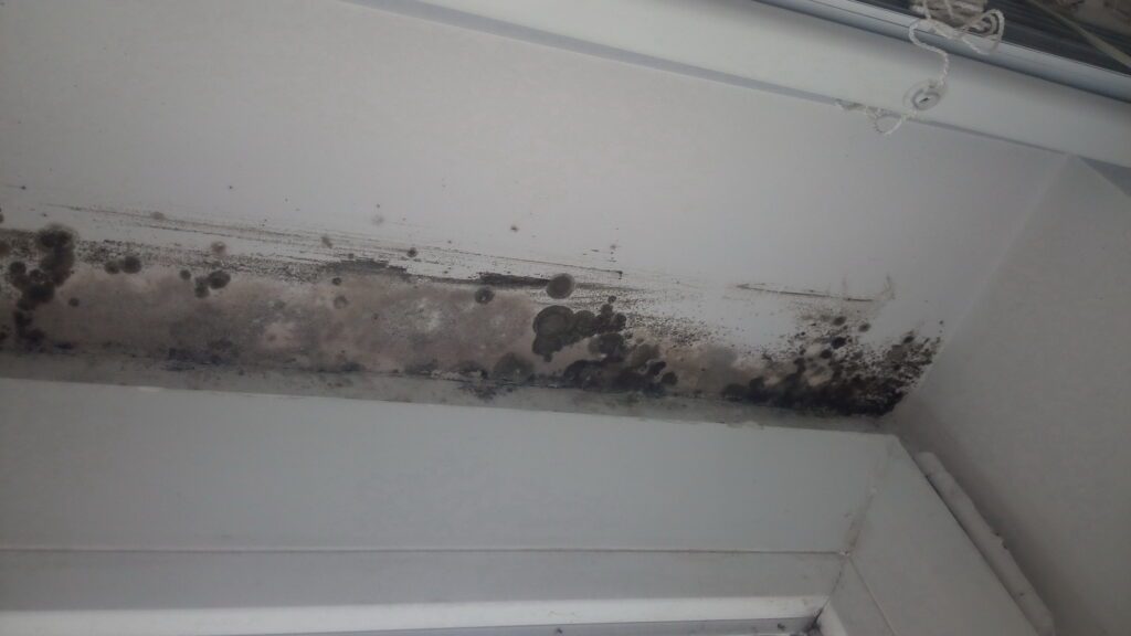 Mold on doorway