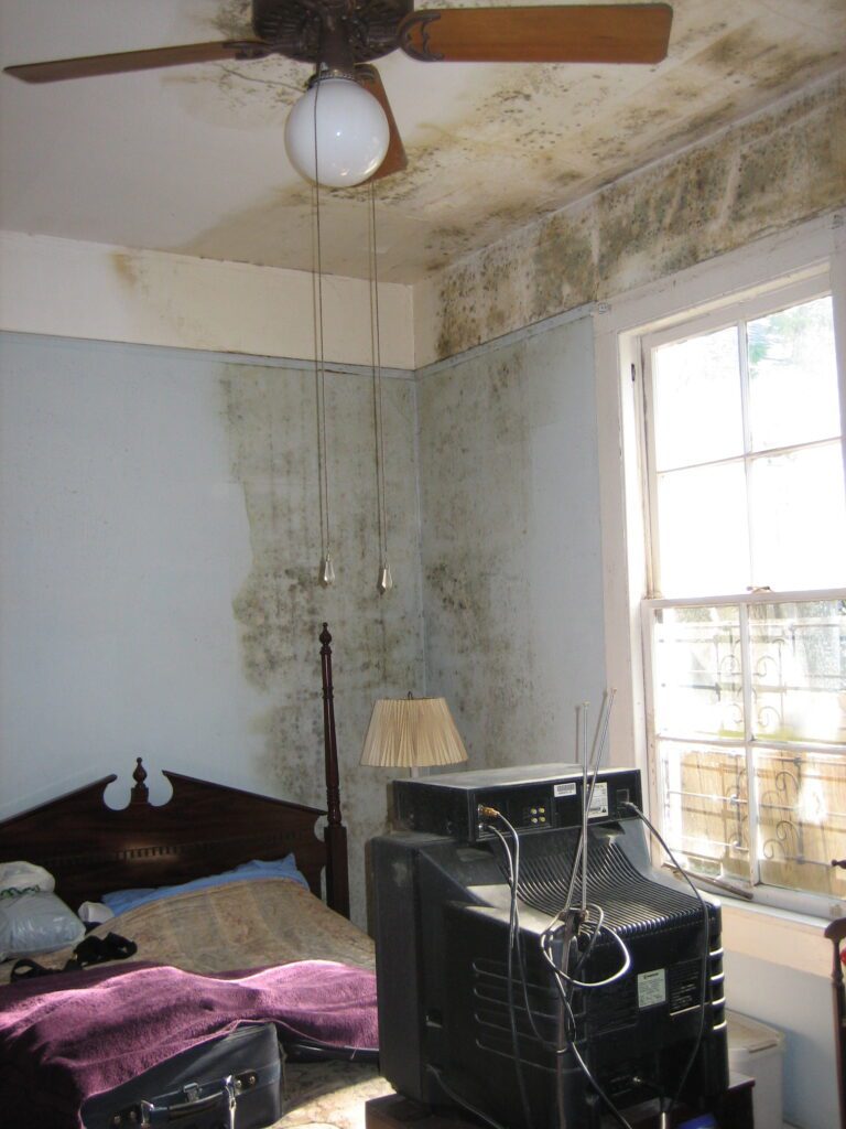 mold on ceiling and walls