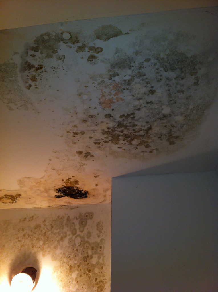 ceiling with mold damage