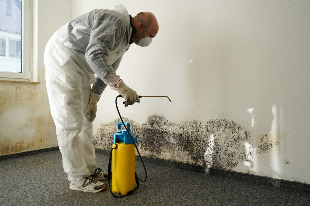 worker spraying mold