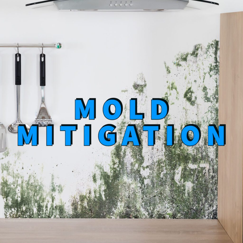 Mold Mitigation