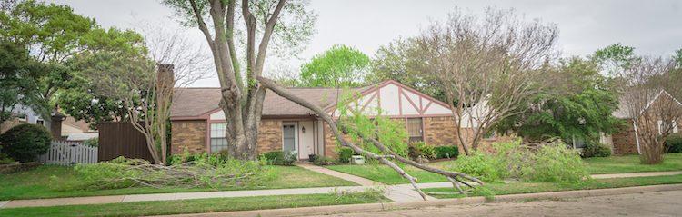 Residential house with broken tree in front and small branches in the lawn
